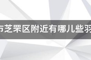 芝罘区篮球训练营地址